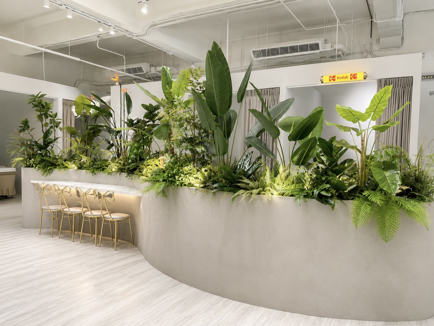 IM BEAUTY SALON 植栽吧台區